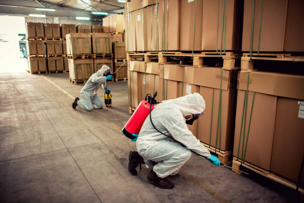 Best Exterminator Services  in Chincoteague, VA