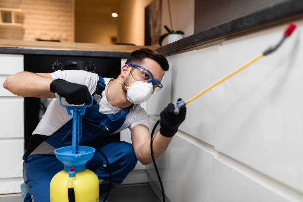 Best Affordable Pest Control Services  in Chincoteague, VA