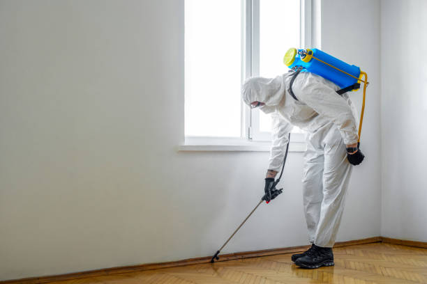 Best Best Pest Control Companies  in Chincoteague, VA