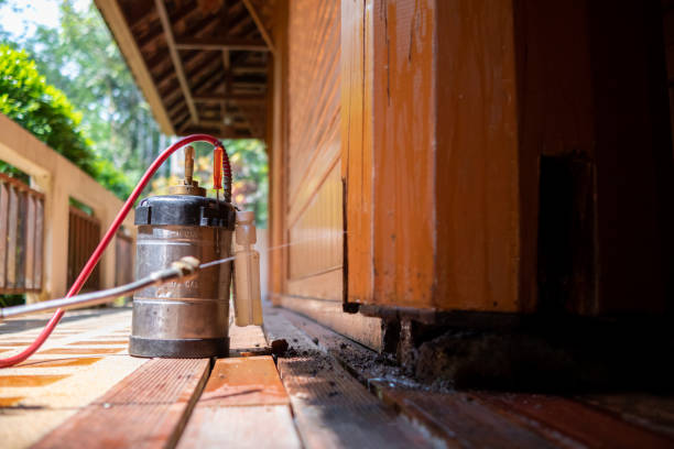 Best Pest Removal Services  in Chincoteague, VA