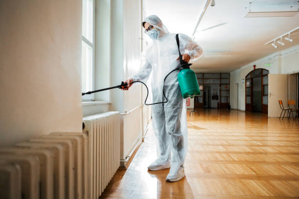 Best Ant Control Services  in Chincoteague, VA