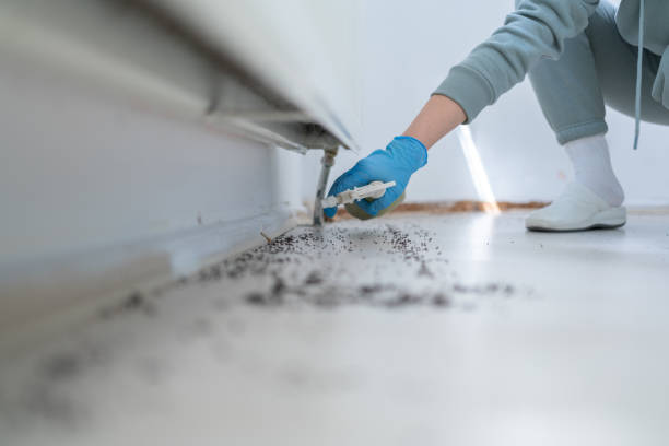 Best Wildlife Control Services  in Chincoteague, VA